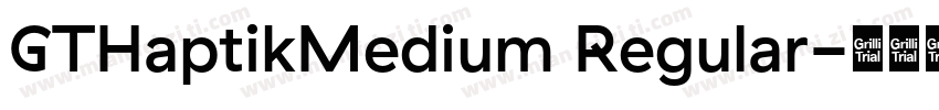 GTHaptikMedium Regular字体转换